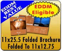 11 x 25.5 Bifold Direct Mail